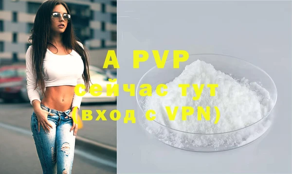 ПСИЛОЦИБИНОВЫЕ ГРИБЫ Сосновый Бор