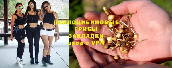 соль курить ск Беломорск
