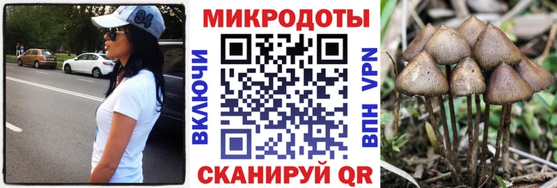 Галлюциногенные грибы мухоморы  кракен   Гатчина 