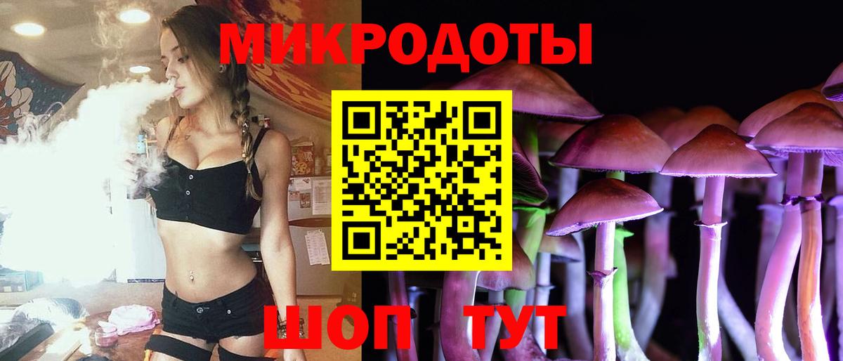 Псилоцибиновые грибы Psilocybine cubensis Гатчина
